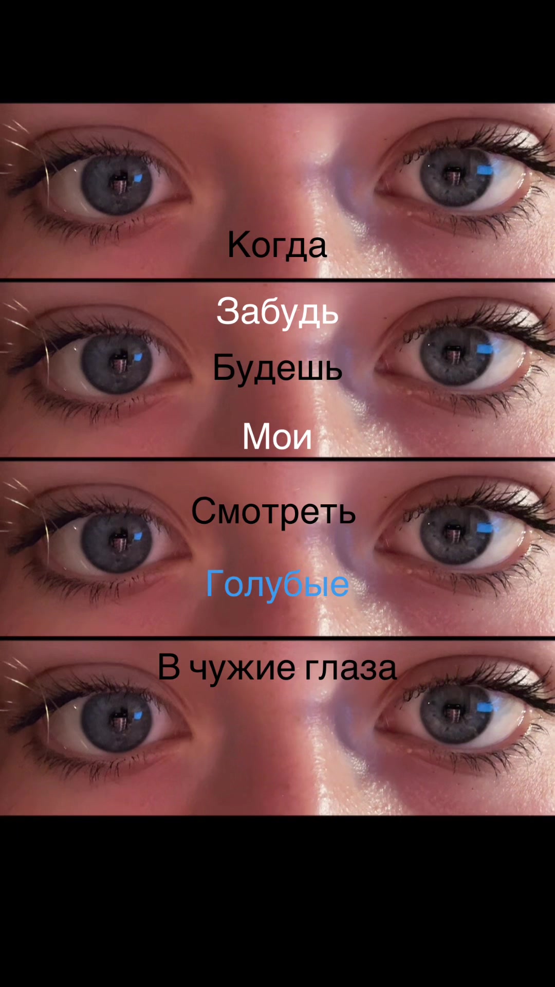 @Шнелька