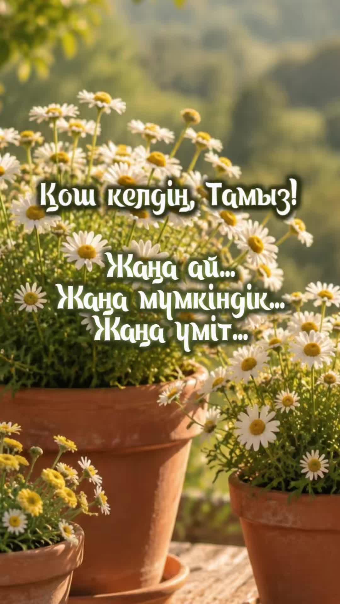 @aray_dinasil