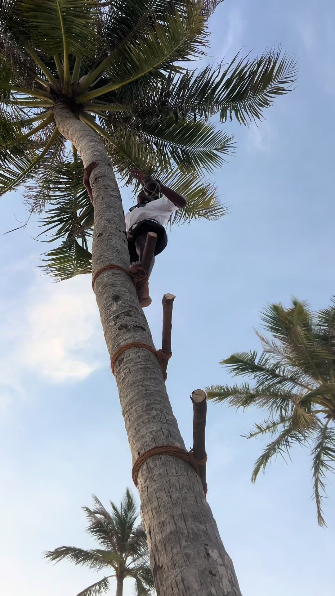 @Blending To Nature