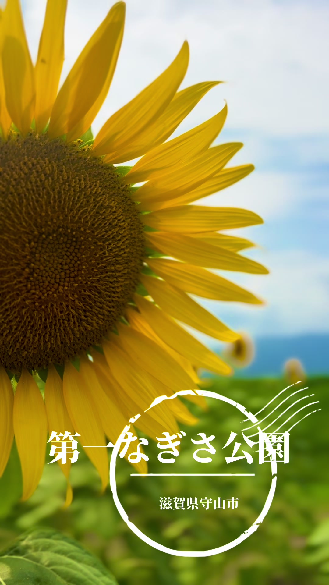 @ぱぴぷり