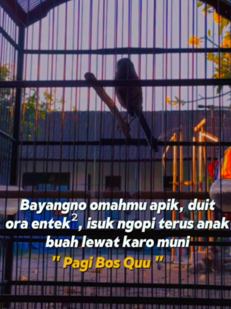 @DEN BAGUS