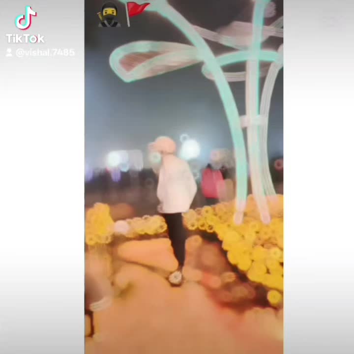 @Vishalghori🦕