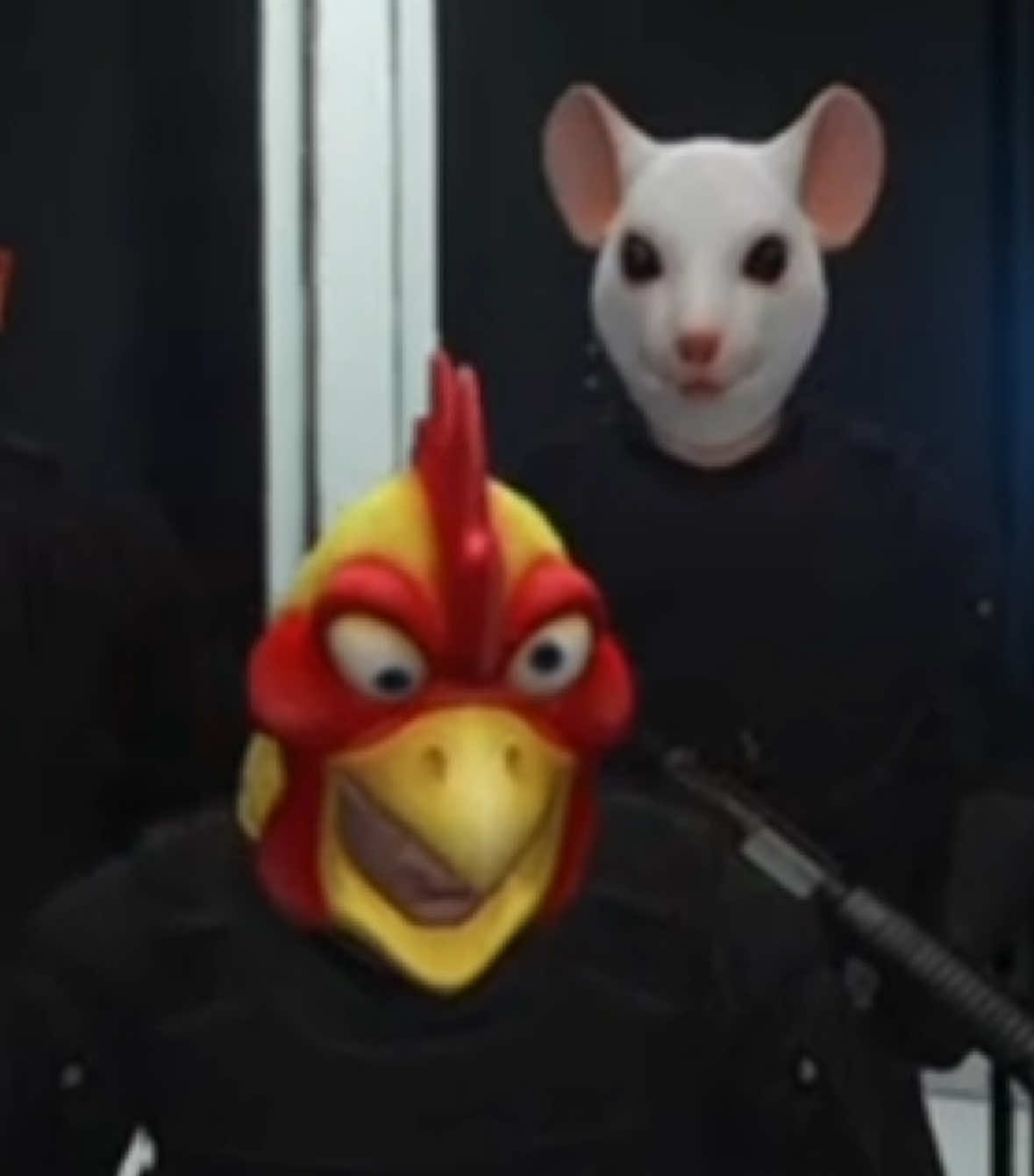 @atom_chicken