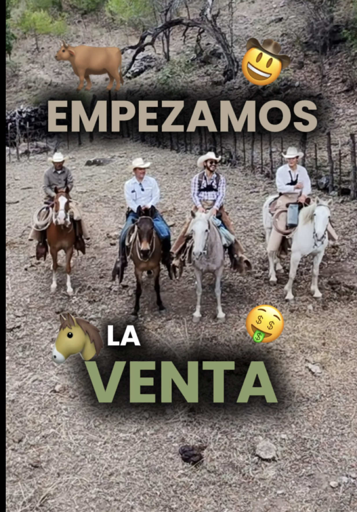 @Alejandro Molina