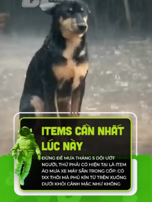 @Du H&agrave;nh TikTok
