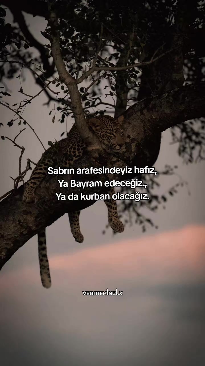 @VEDAT EKİNCİ