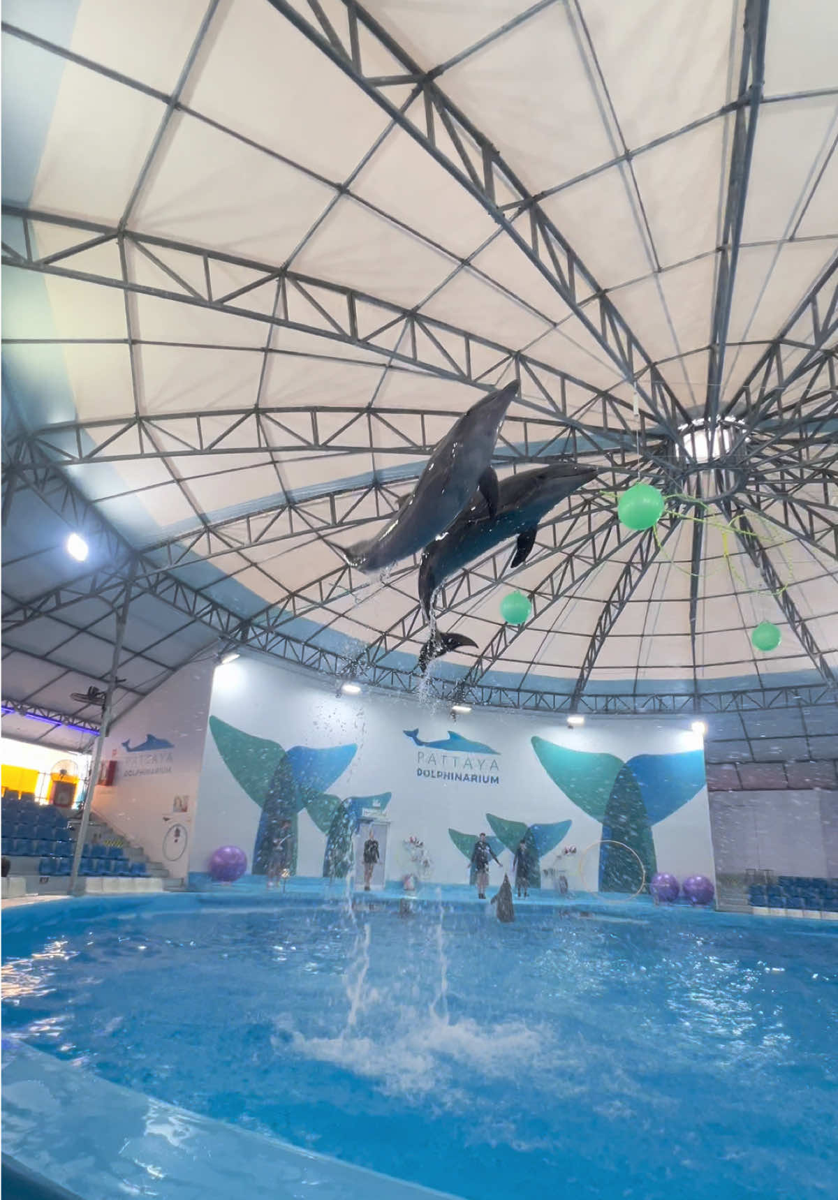@Pattaya Dolphinarium