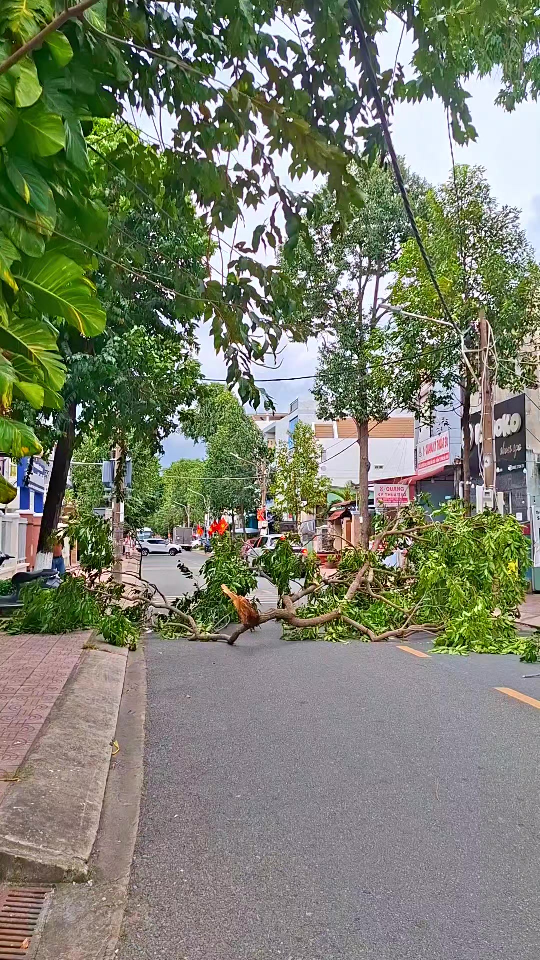 @Người Long An