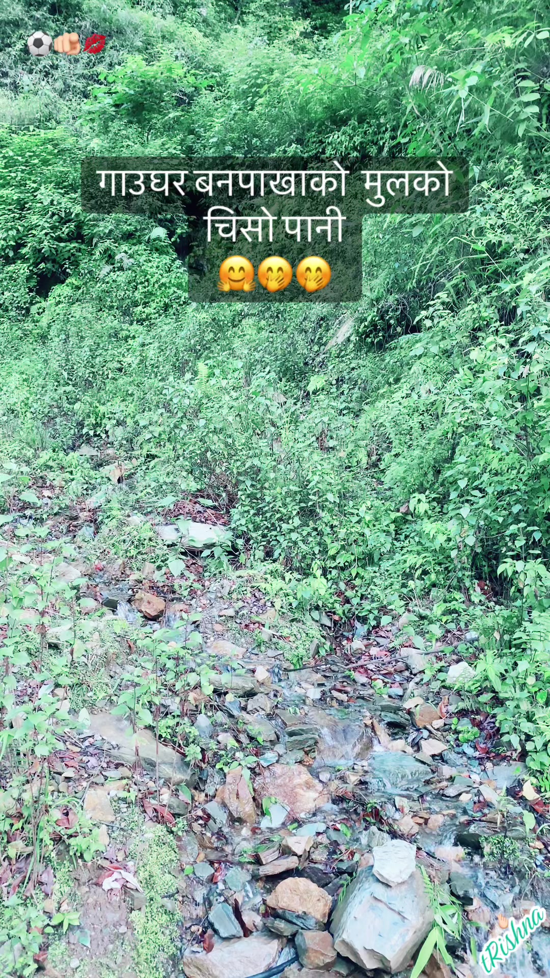 @TJ_S3mgr439