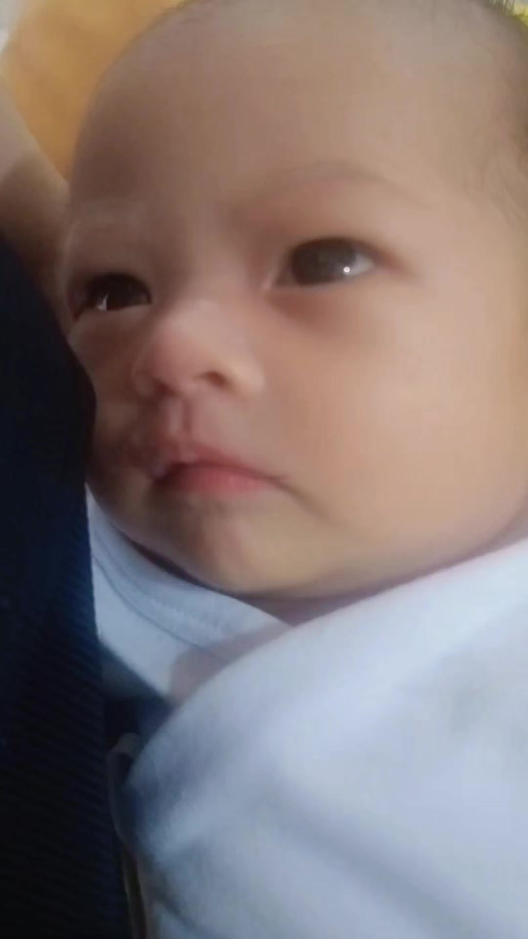 @--๐ฆโ๐ณโ๐ณโ๐ชโ--