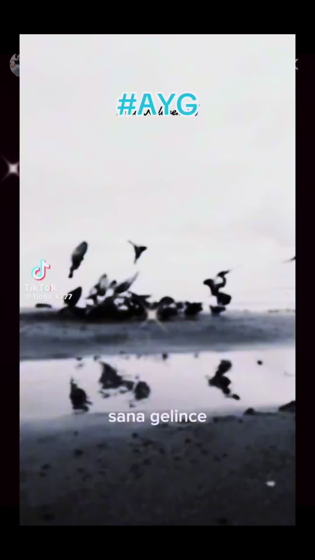 @꧁ঔৣ AYG ঔৣ꧂ Şᵃˣ 🇦🇿✅