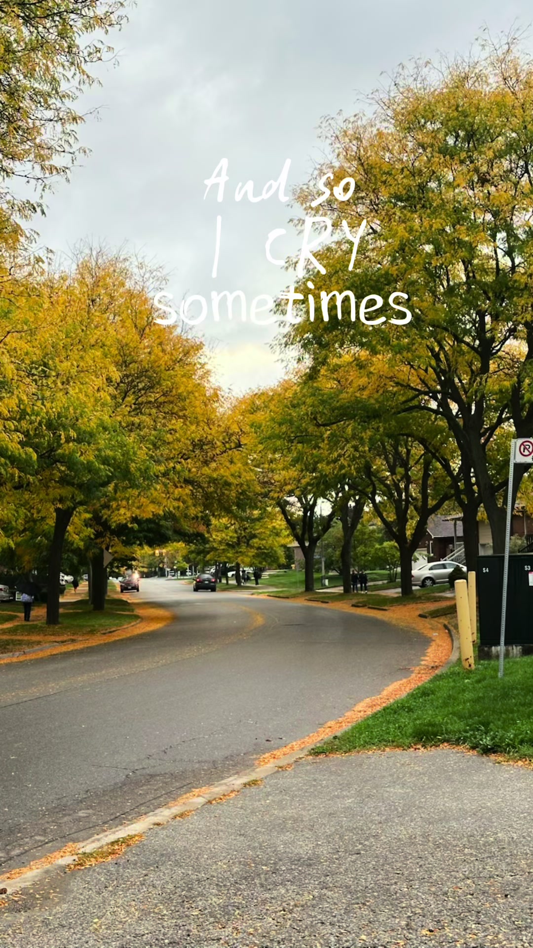 @zeusdc_49
