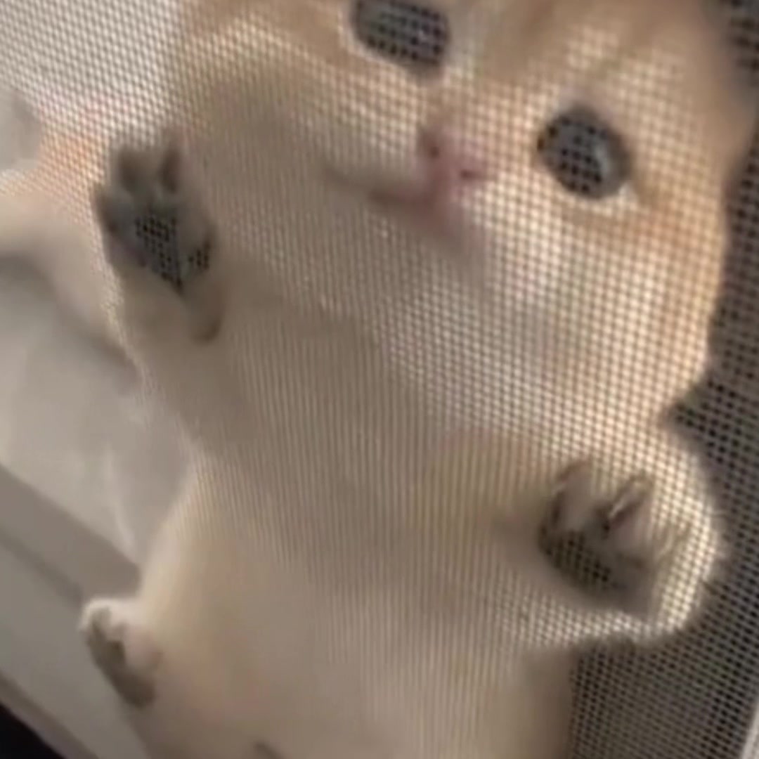 @𝒪𝓳𝓮𝓭𝓪𝓻𝓲𝓸