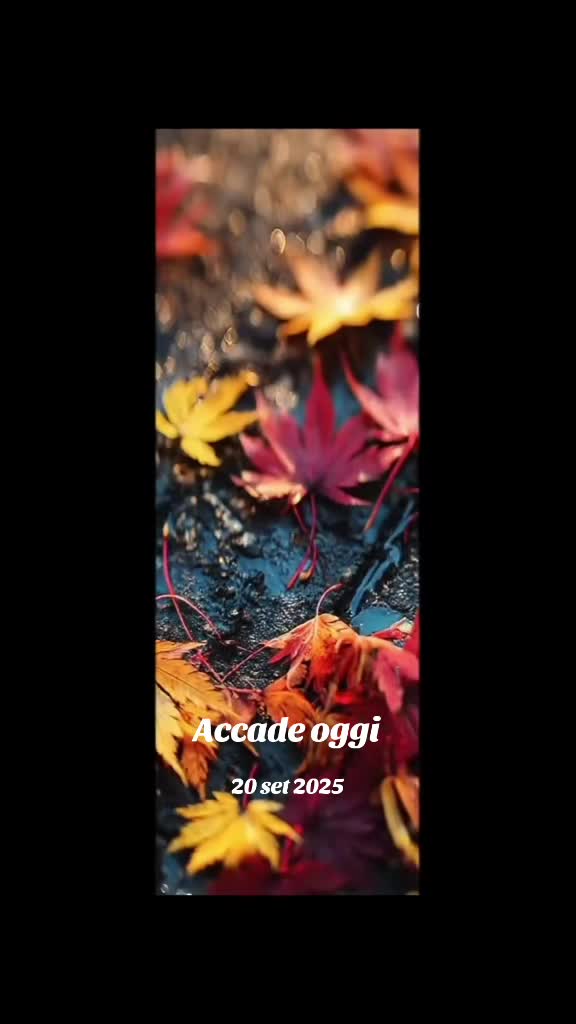 @mariaFanciulli615