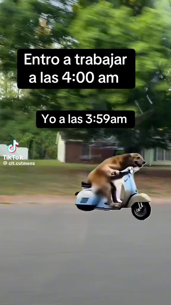 @A & A