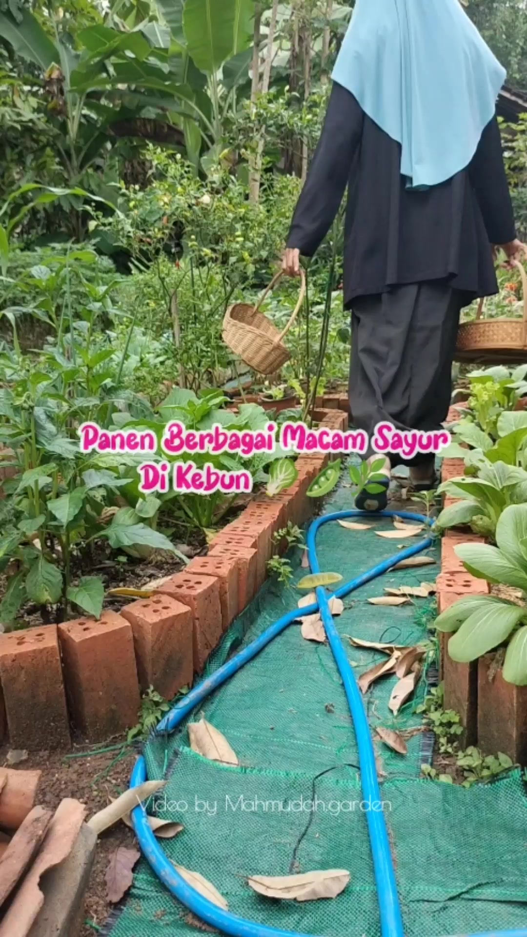 @mahmudah.garden