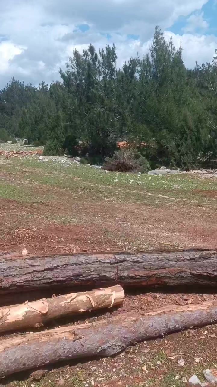 @ibrahim odabaş