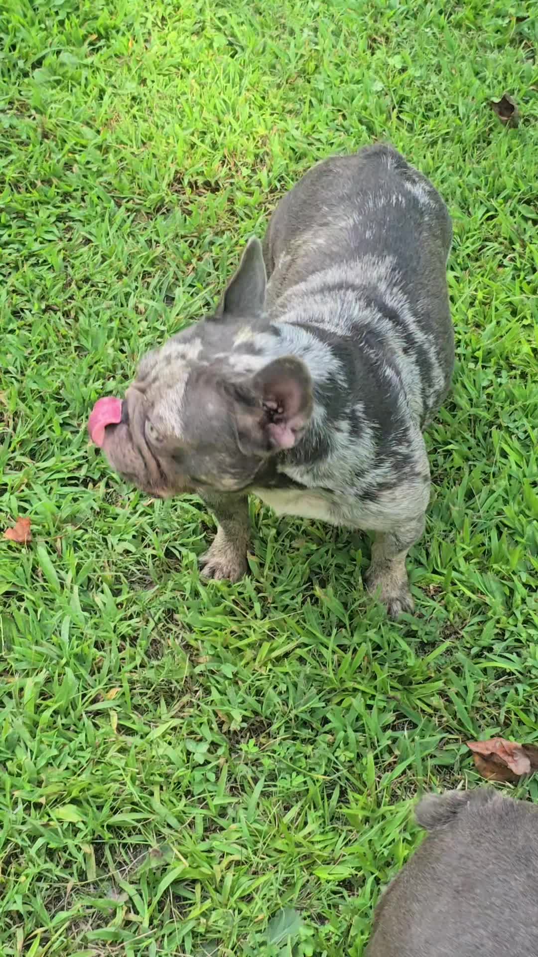 @EClassBullys
