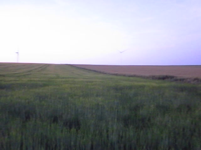 @ֶָ֢