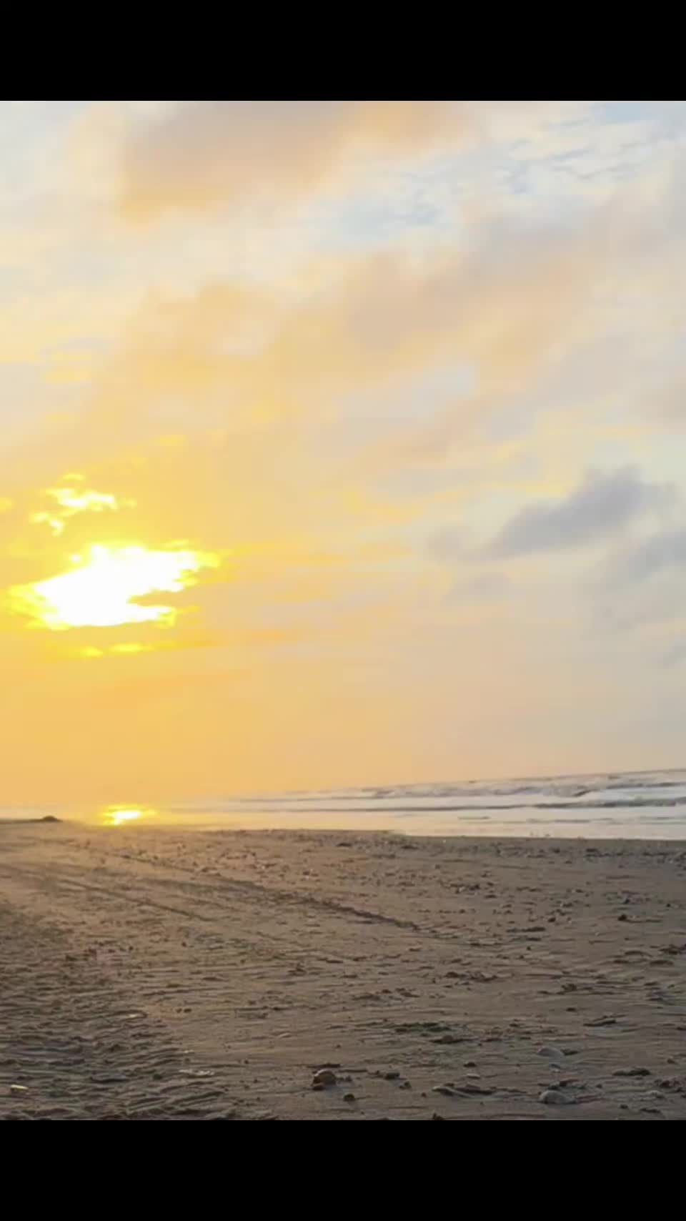 @BeachDayz40