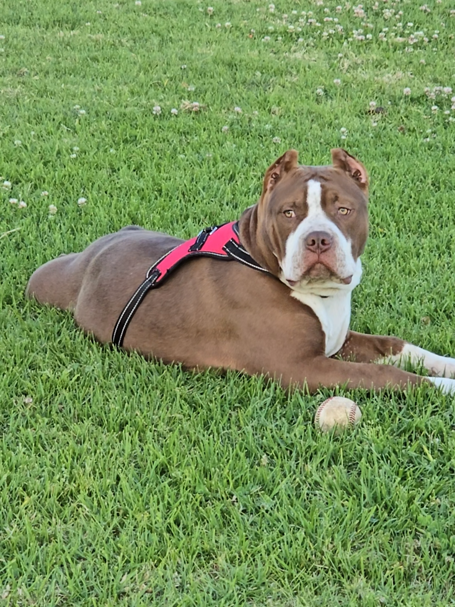 @DHK