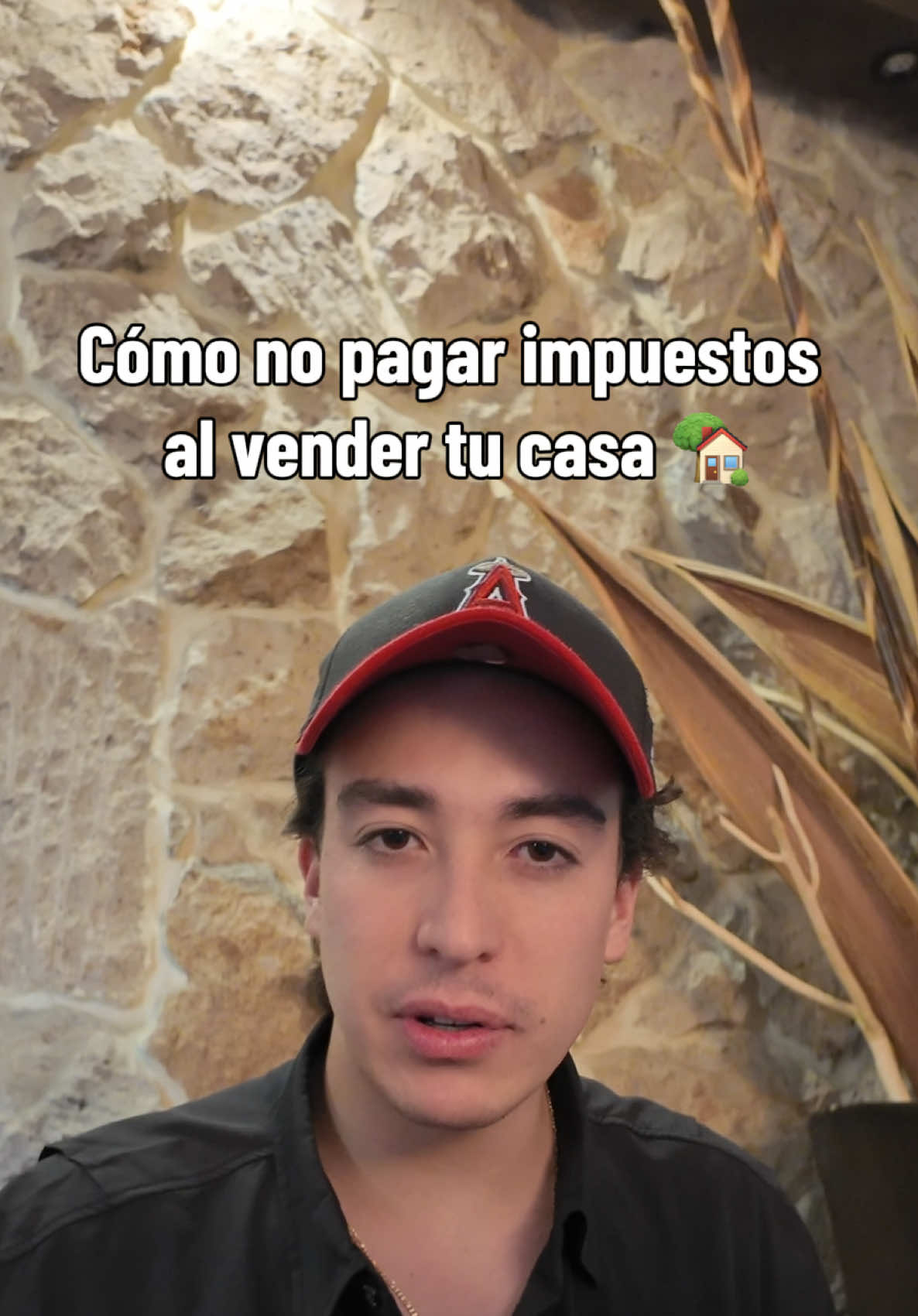 @Grupo Rolo