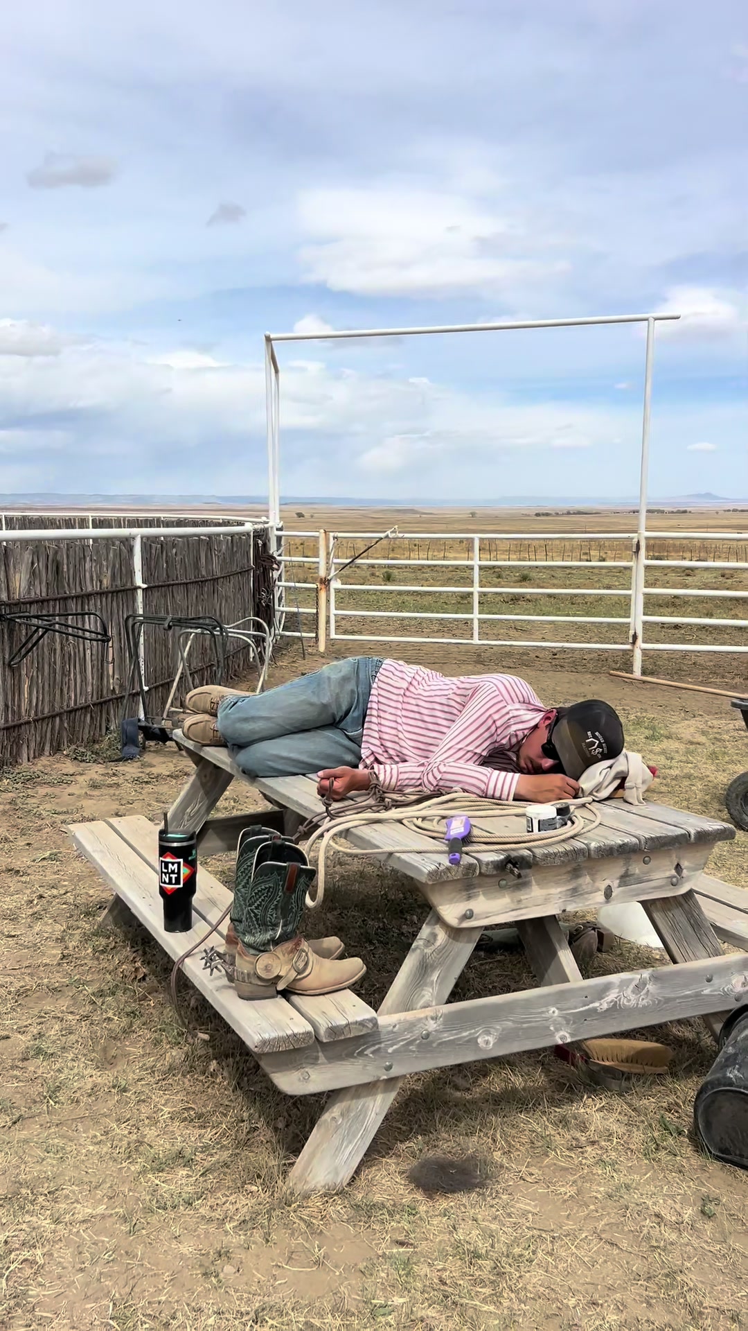@cowgirlcommentary
