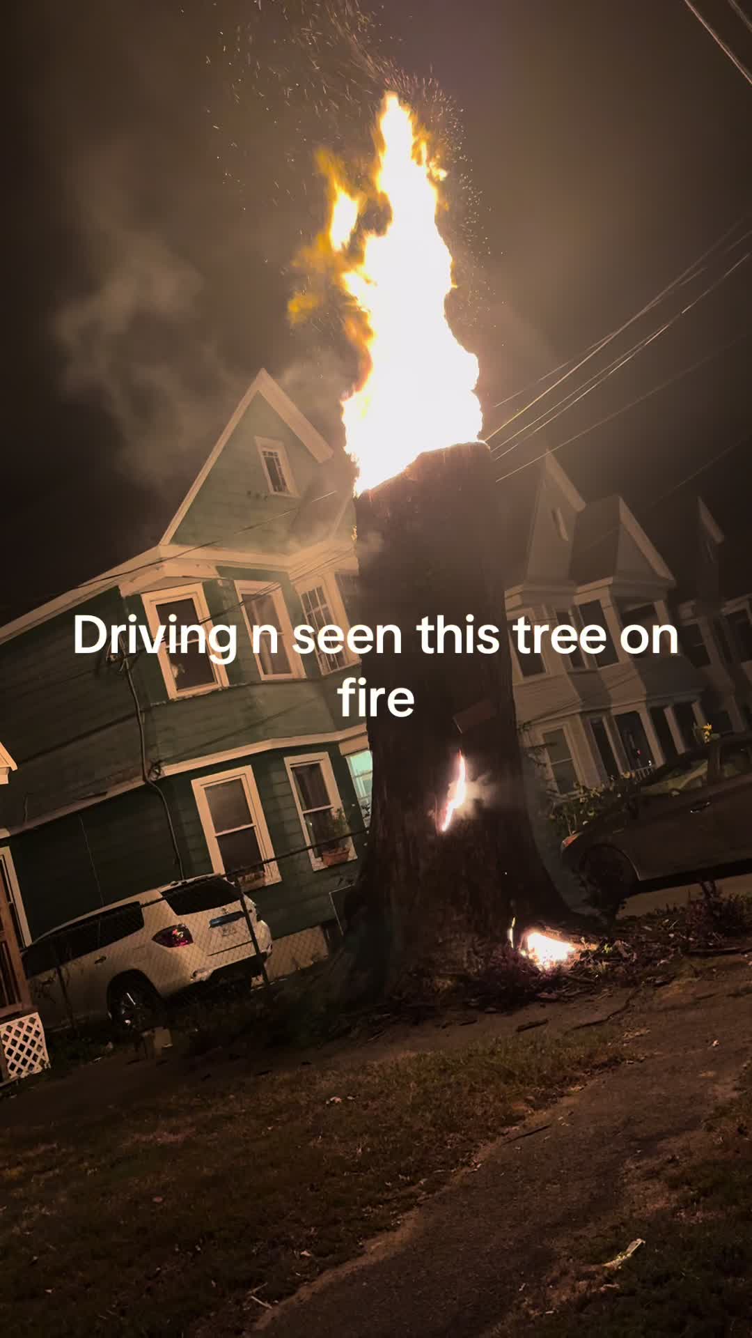 @MODDIE
