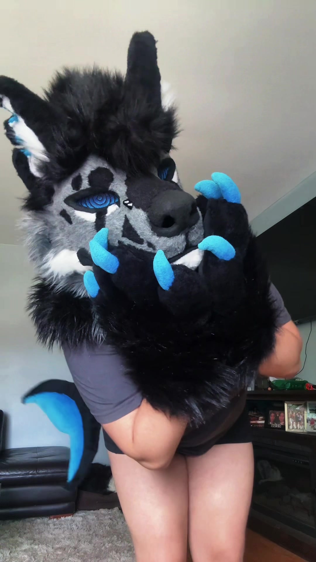 @sonar_hyena_shark