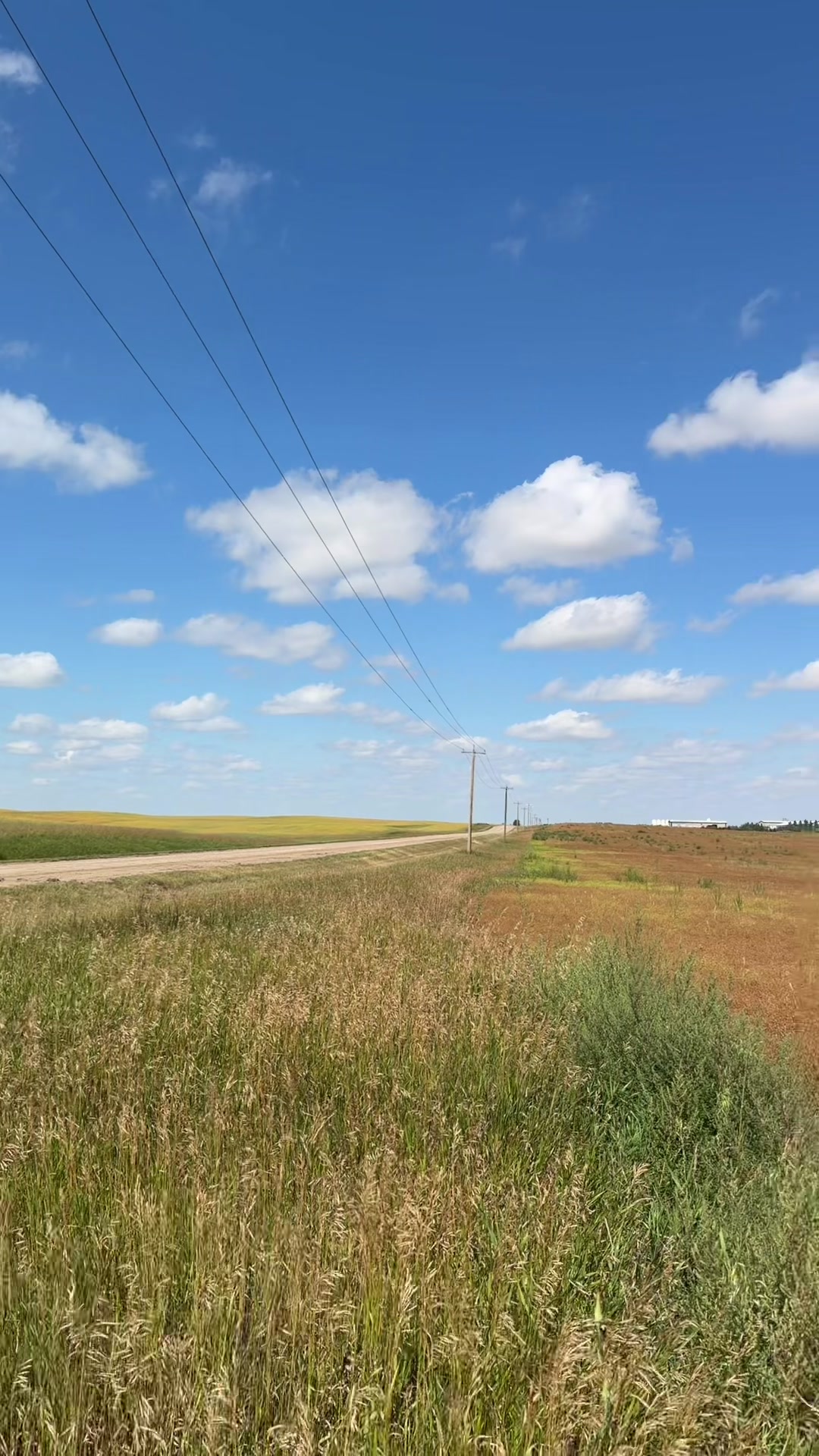 @Hutterwrong