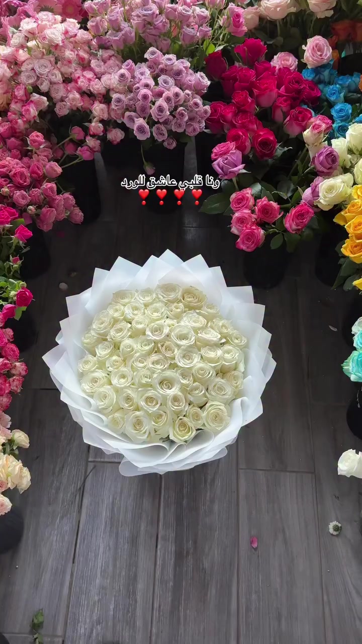 @مندوب ابها