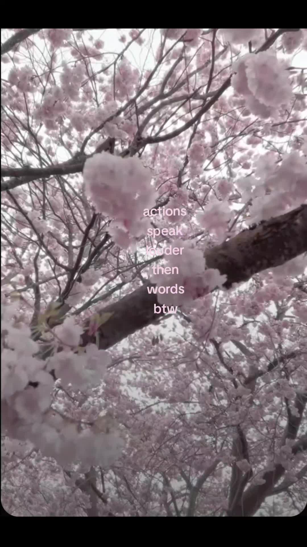 @wh2spers