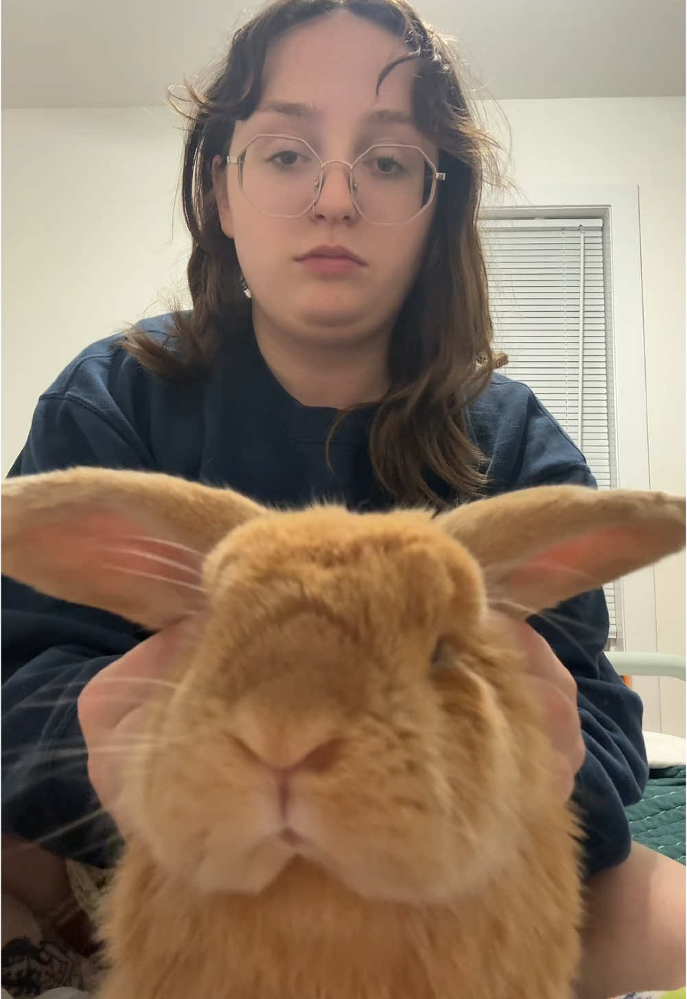 @Otis the Bunny