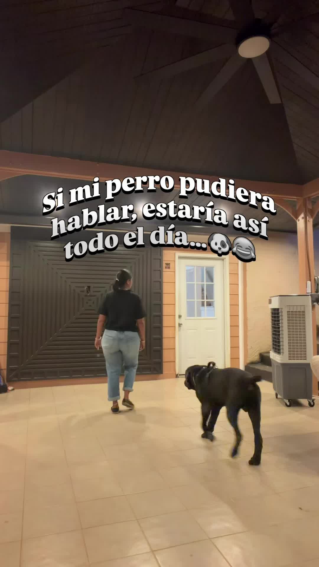 @Caoma Santa Realtor