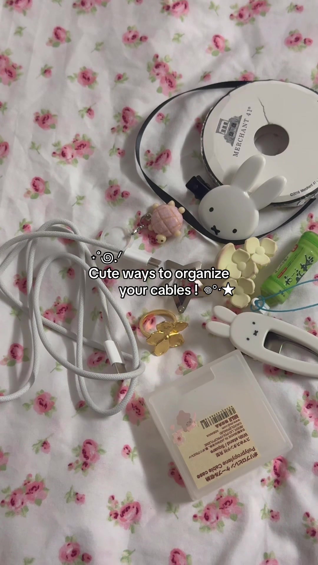 @Beary Aesthetic