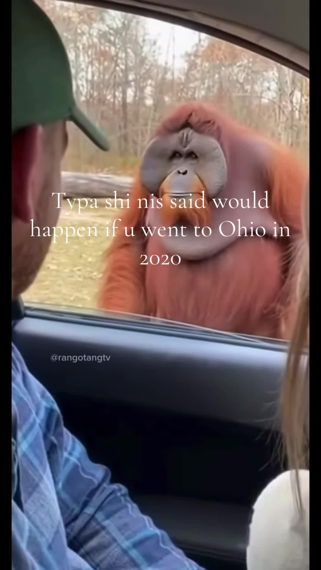 @Thezebramexic212