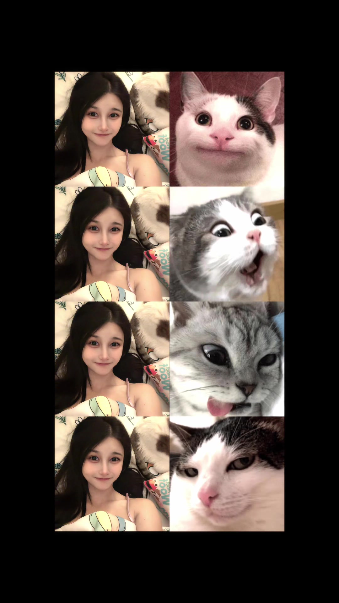 @Ramita 🐱