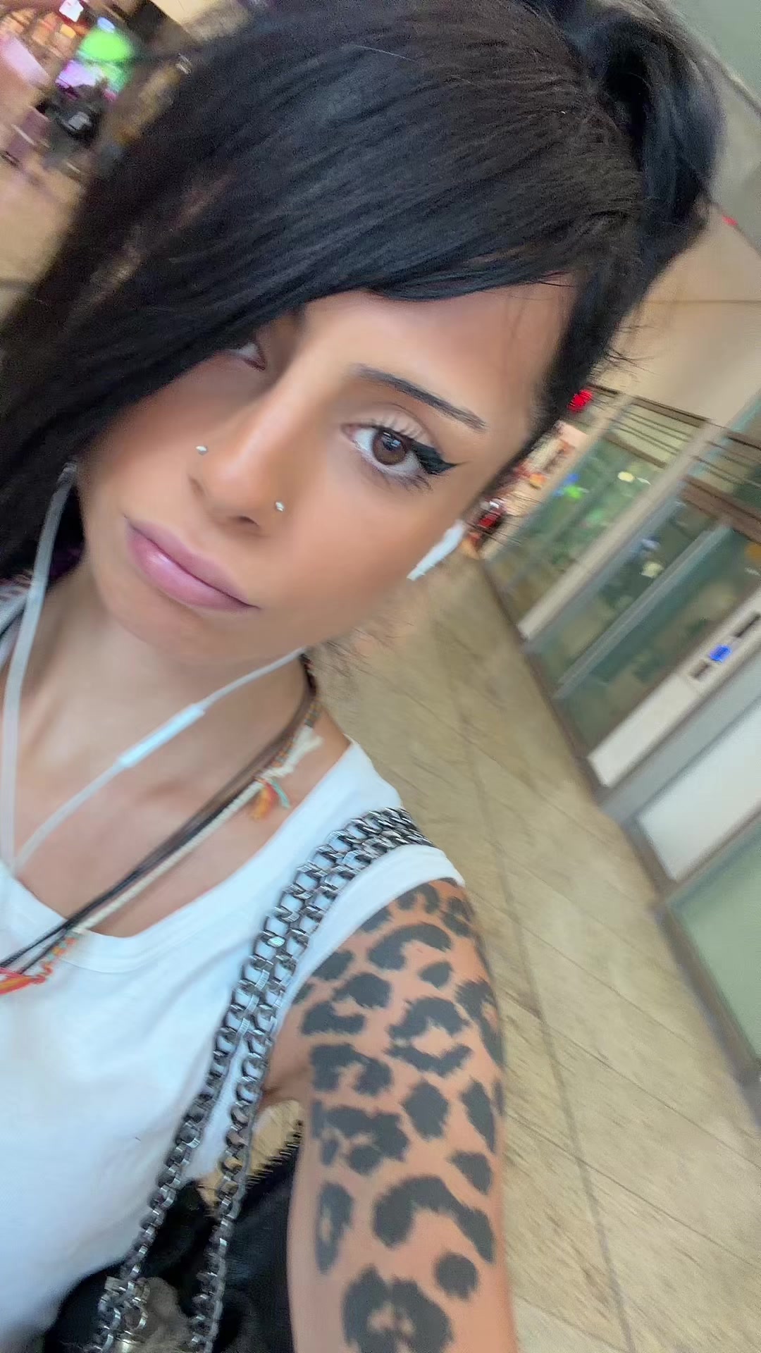 @persiankitten