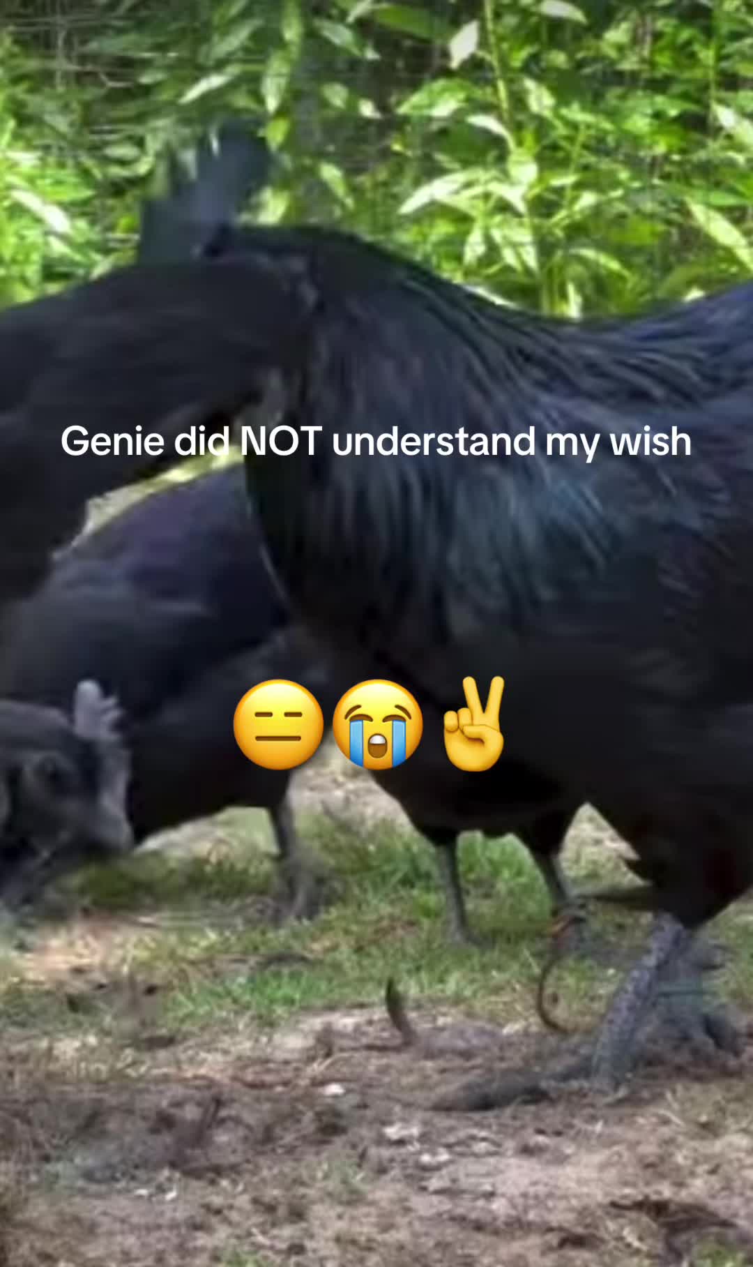 @โ JimBo ๐