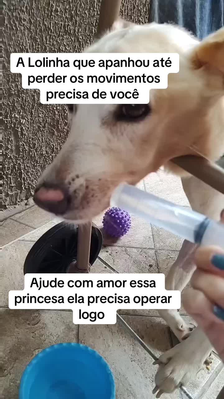 @Ajude a Lola