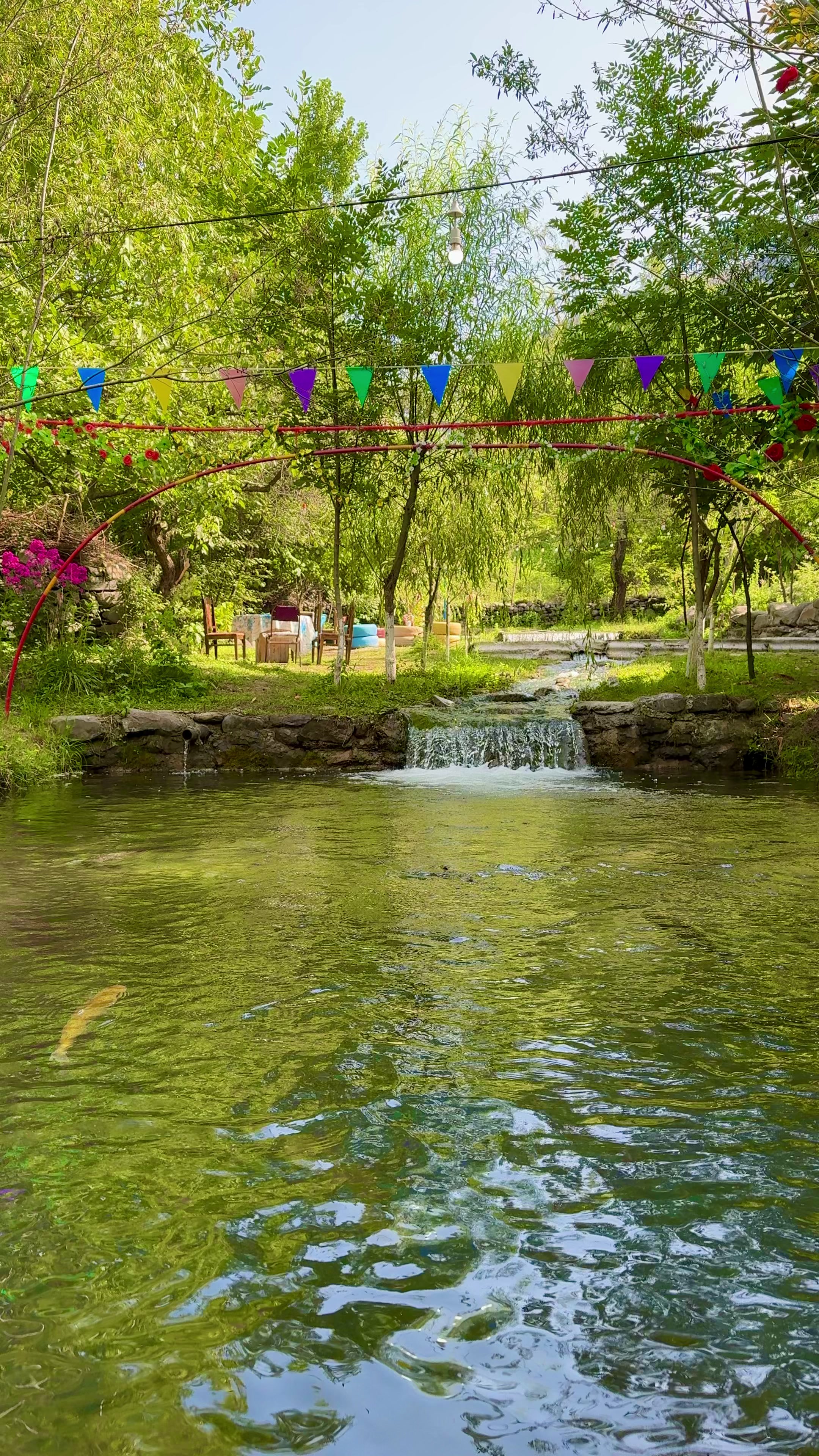 @𝐐𝐀𝐌𝐀𝐑𝐕𝐀𝐍 📍🌿
