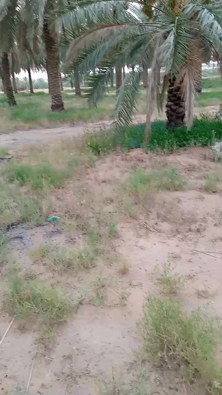 @irfanbaloch22