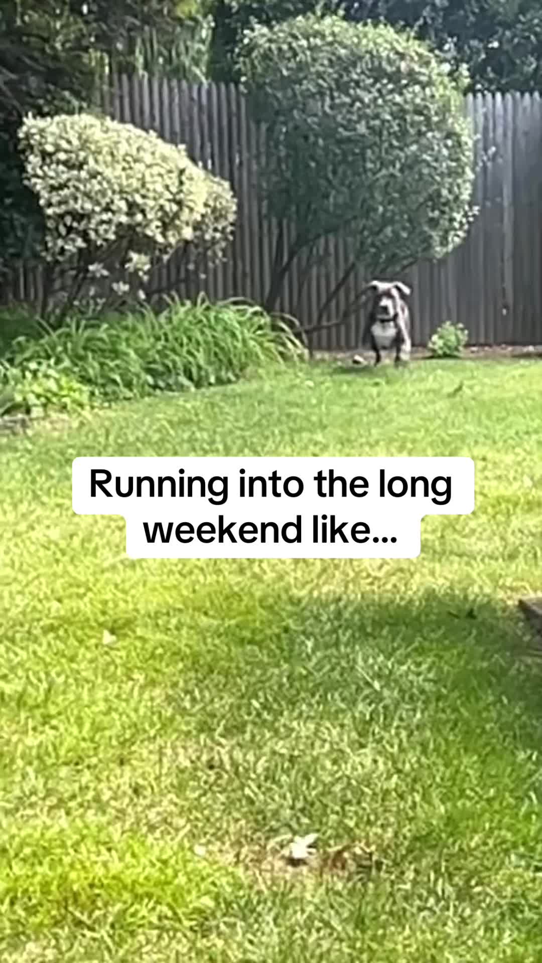 @Pibblingaround