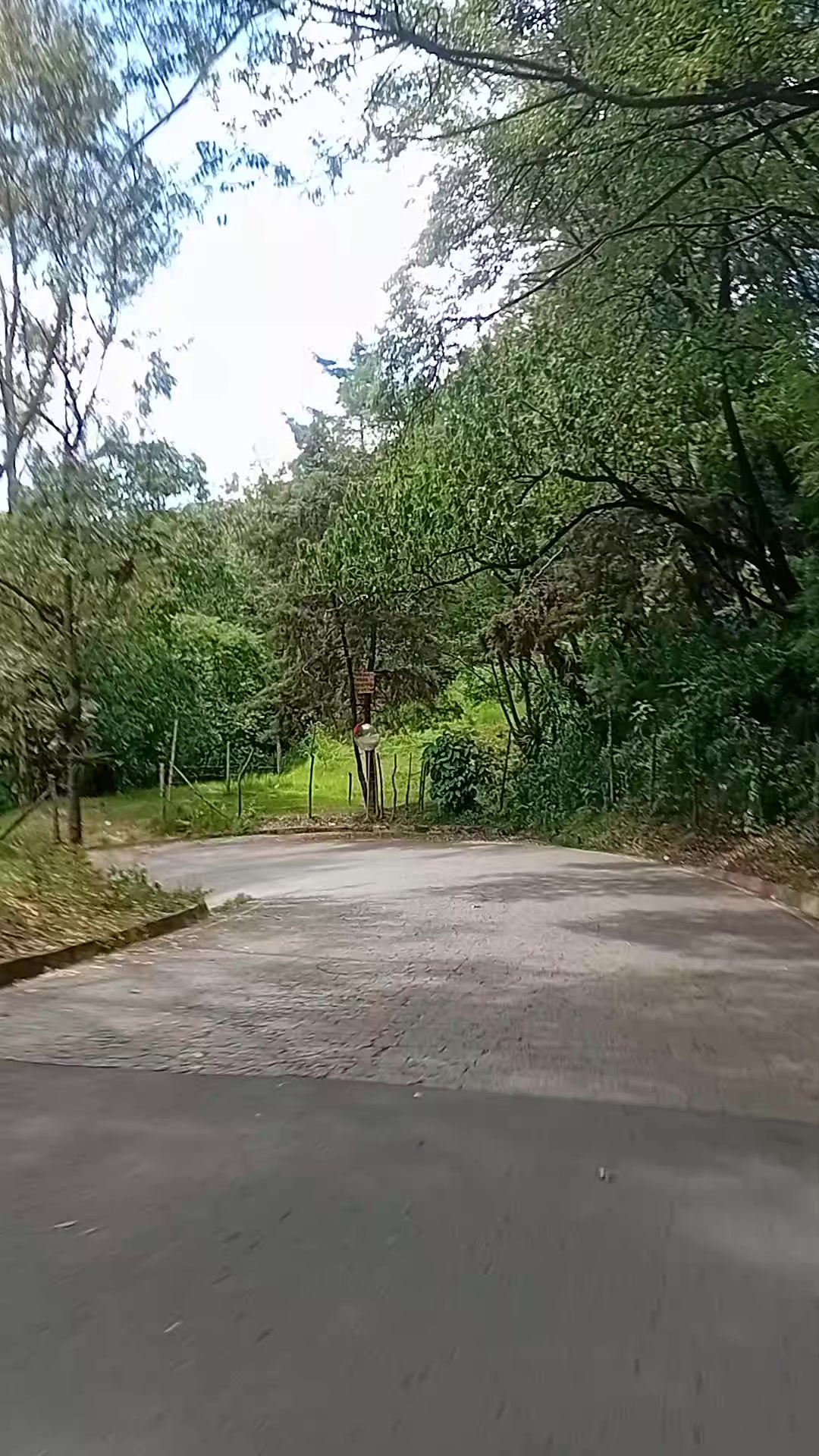 @Eriberto🇬🇹🇬🇹
