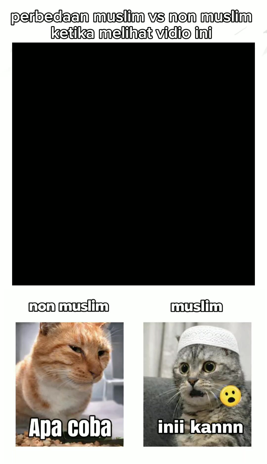 @๐๐๐ง๐งใ