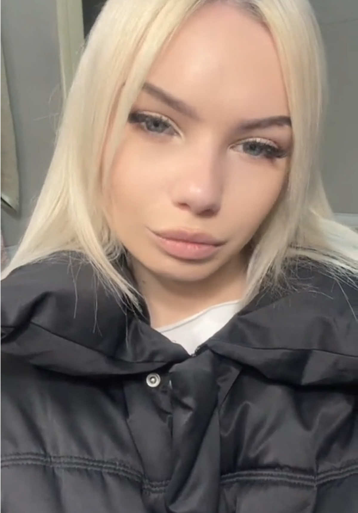 @чихуахуа