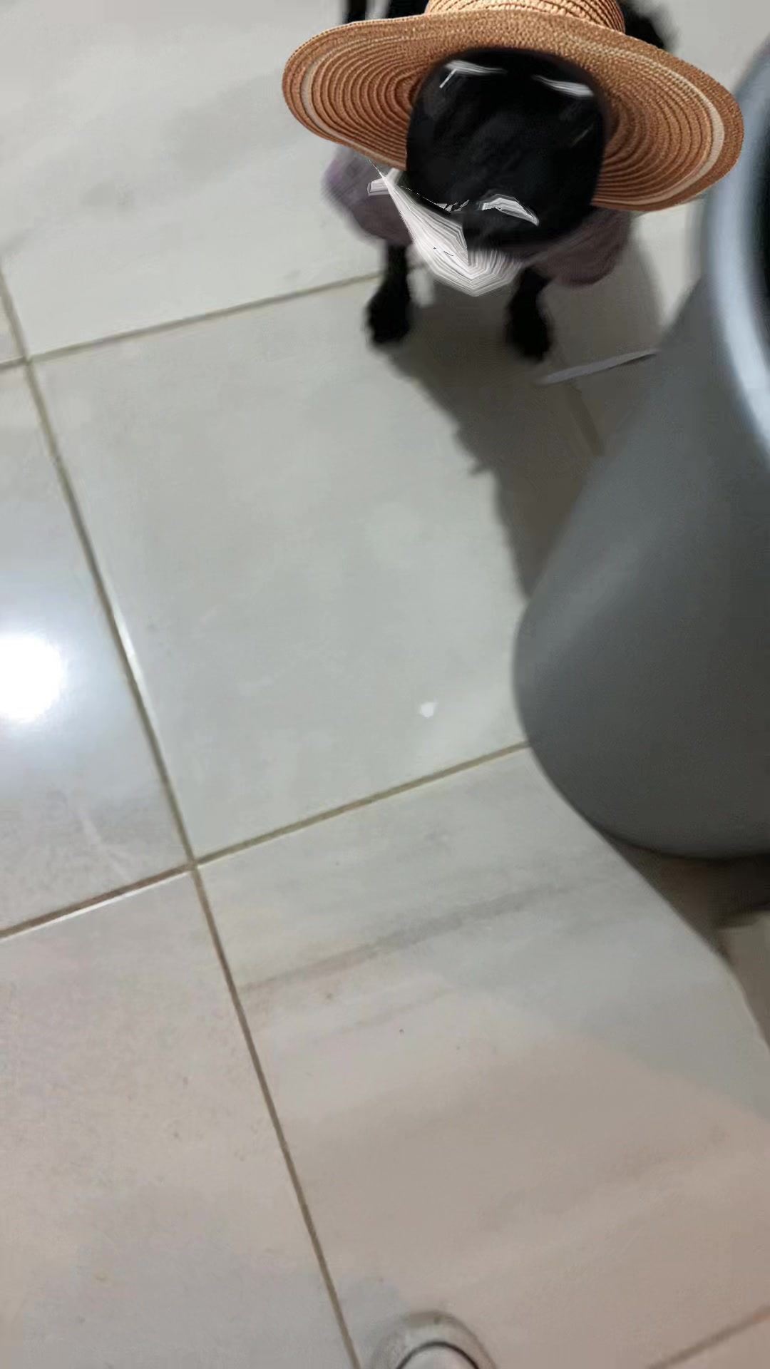 @Didiaaaa