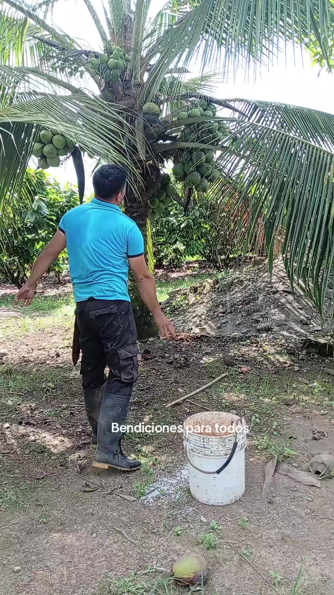@Jairo desde el campo.