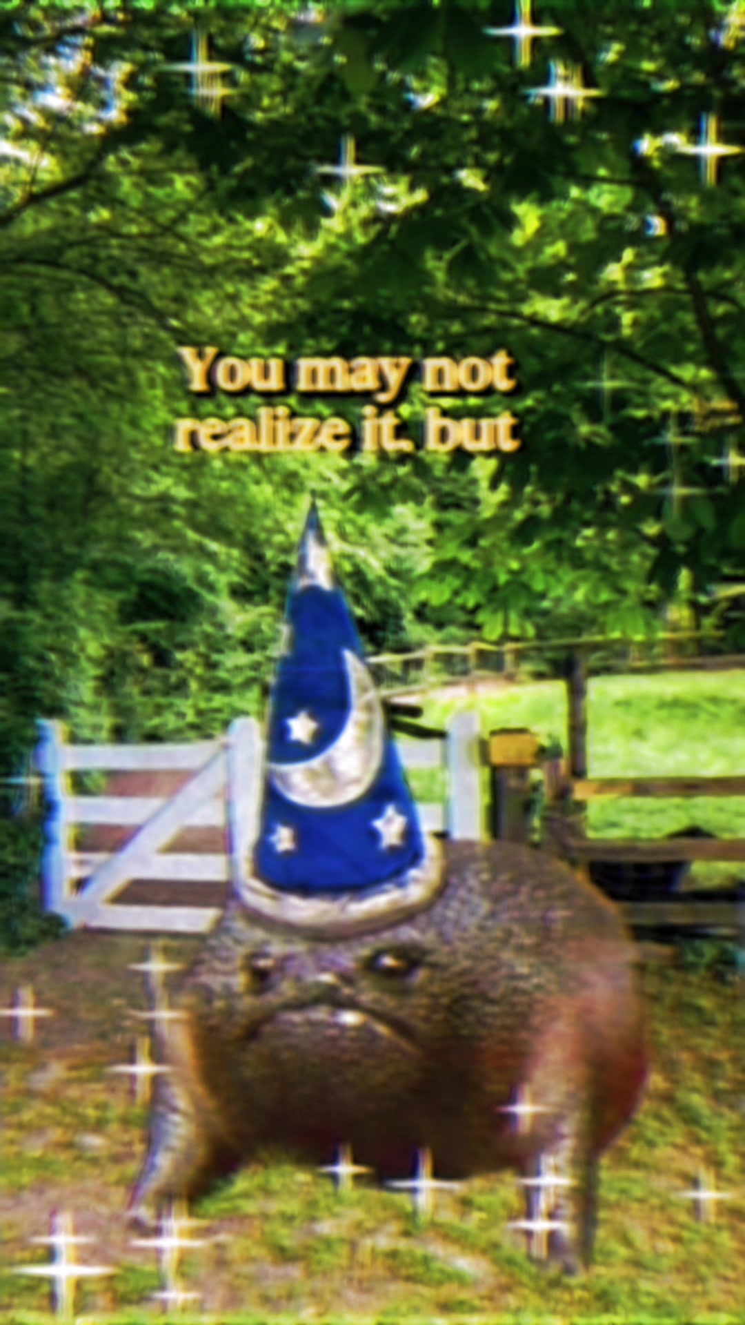 @Holy Frog Father