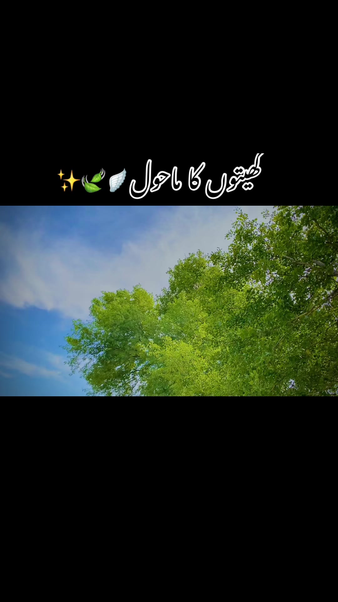 @⚜️عماد۔!۔واھلہ⚜️